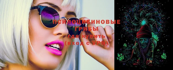 шишки Иннополис