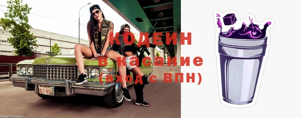 шишки Иннополис
