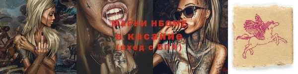 эйфоретик Инта