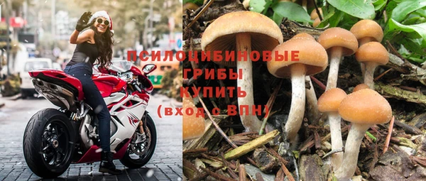 шишки Иннополис
