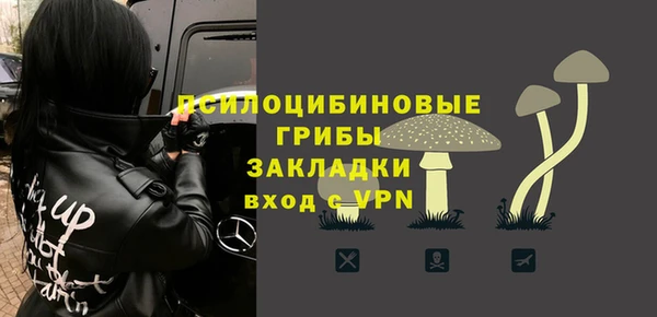 эйфоретик Инта