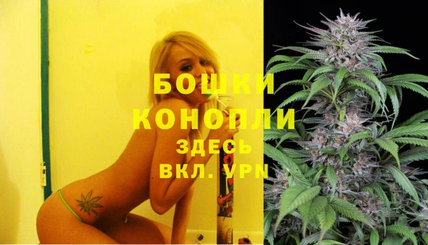 шишки Иннополис