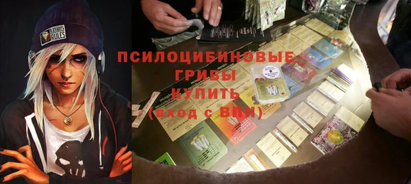 бутират Инсар