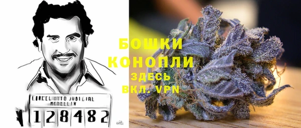 эйфоретик Инта