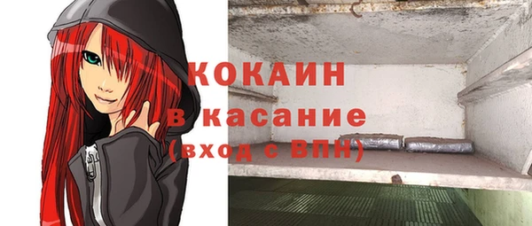 эйфоретик Инта