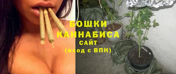 бутират Инсар