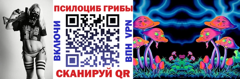 Псилоцибиновые грибы Magic Shrooms  Купить где  Дальнереченск 