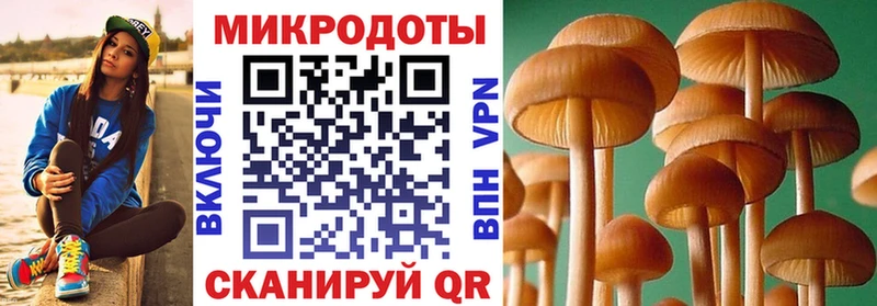 Псилоцибиновые грибы прущие грибы Дальнереченск