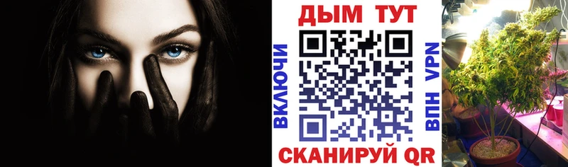 Конопля AK-47  Купить  Дальнереченск 